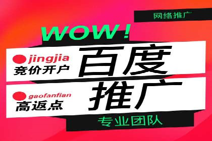 SEM托管服务成功案例背后的故事