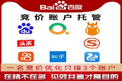 百度广告竞价策略详解：某电商平台的成功案例